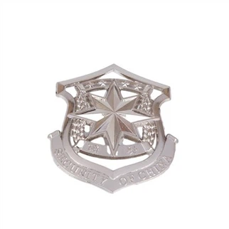 Insignia de pin de policía
